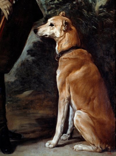 Ritratto del Cardinale Infante Ferdinando d