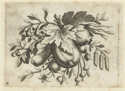 Festone di frutti da Dietrich Krüger (attributed to)
