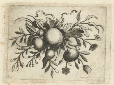 Festone di frutti da Dietrich Krüger (attributed to)
