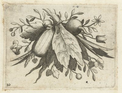 Festone di frutti da Dietrich Krüger (attributed to)