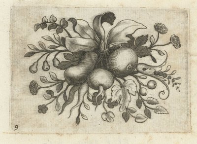 Festone di frutti, Fruchtenbuchlein zum Reisen dienlich (serie) da Dietrich Krüger (attributed to)
