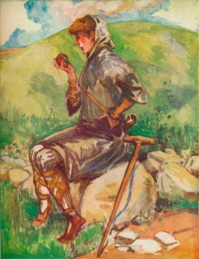 Un contadino dell