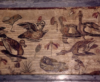 Mosaico romano da Pompei di anatre e rane in un giardino acquatico, I secolo da Dioscurides of Samos