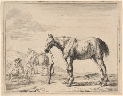 Un cavallo legato a un palo da Dirck Stoop