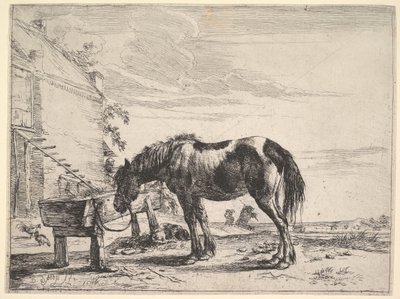 Cavallo legato a una mangiatoia da Dirck Stoop