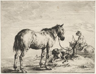 Cavallo legato a un palo da Dirck Stoop