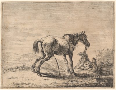 Cavallo impennato vicino a una stalla da Dirck Stoop