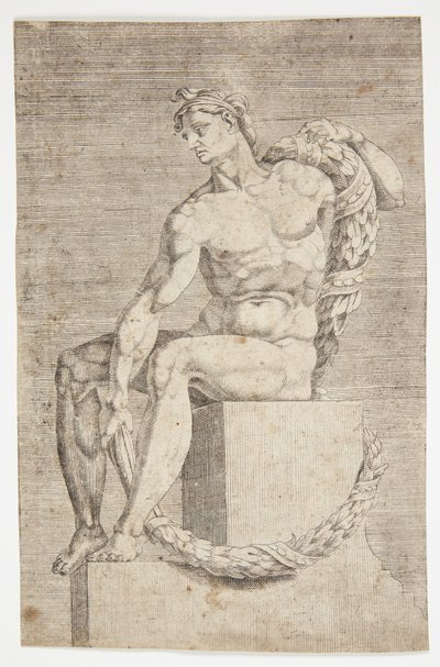 Nudo dalla Cappella Sistina da Dirck Volckertsz. Coornhert
