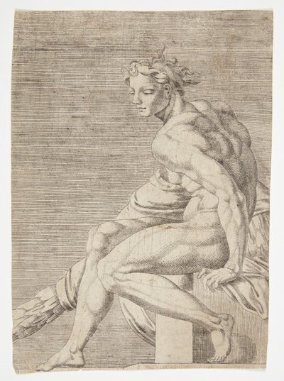 Nudo dalla Cappella Sistina da Dirck Volckertsz. Coornhert