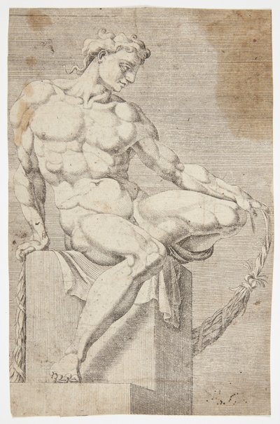 Nudo dalla Cappella Sistina da Dirck Volckertsz. Coornhert