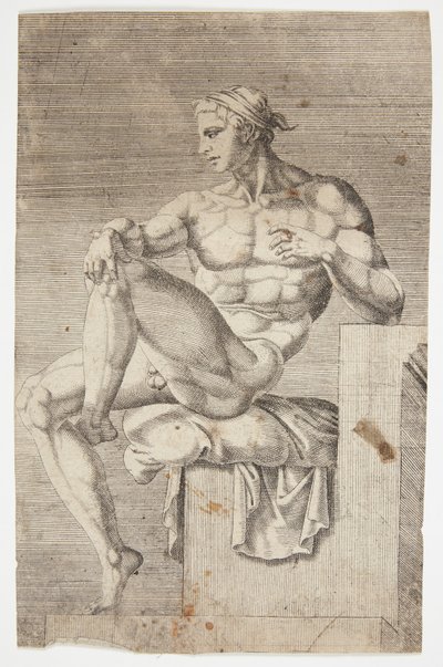Nudo dalla Cappella Sistina da Dirck Volckertsz. Coornhert