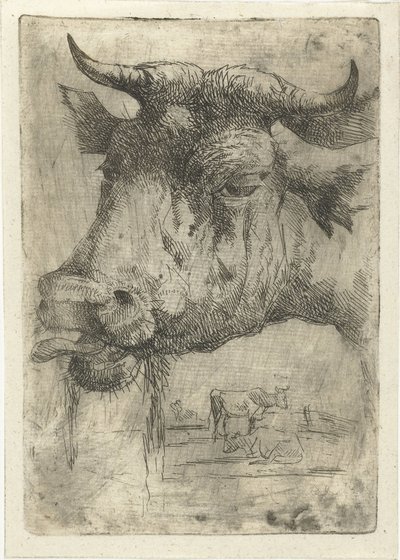 Testa di una mucca con lingua fuori da Dirk Dirksen