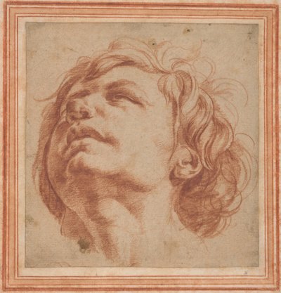 Studio della testa di un giovane che guarda verso l