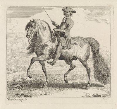Cavaliere verso sinistra da Dirk Maas