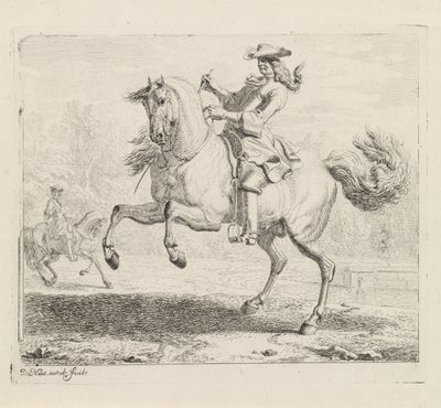 Cavallo impennato con cavaliere da Dirk Maas