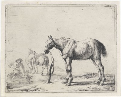 Cavallo legato a un palo verso sinistra da Dirk Stoop