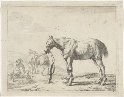 Cavallo legato a un palo verso sinistra da Dirk Stoop