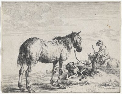 Cavallo legato a un palo da Dirk Stoop