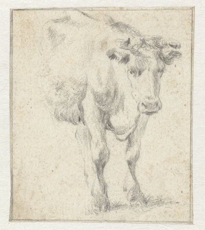 Studio di una mucca da Dirk Stoop