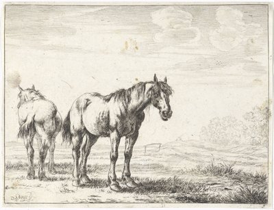 Due cavalli in un paesaggio da Dirk Stoop