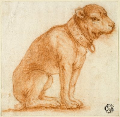 Cane seduto con collare da Dirk Valkenburg