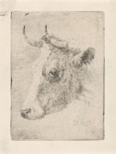 Testa di un toro da Dirk van Oosterhoudt