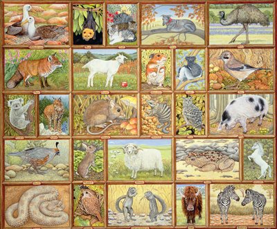 Animali alfabetici da Ditz