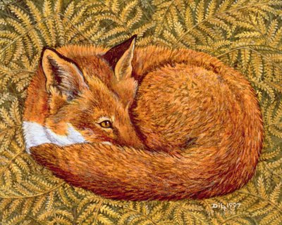 Sonnellino del gatto, 1997 da Ditz