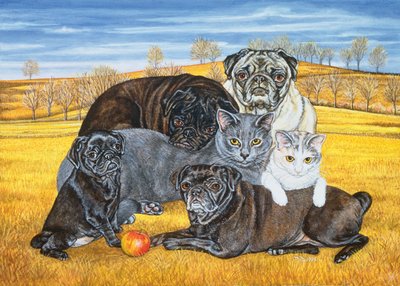 Gatti Pug di Hocking County, 1995 da Ditz