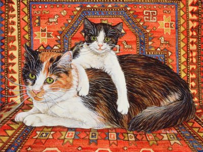 Kit-Cat-Carpet, 1995 da Ditz