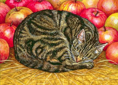 Gatto-Mela Sinistro, 1995 da Ditz
