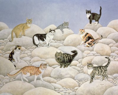 Gatti della Valle di Lynn da Ditz