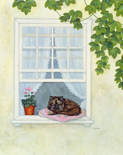 Il gatto di Pam da Ditz