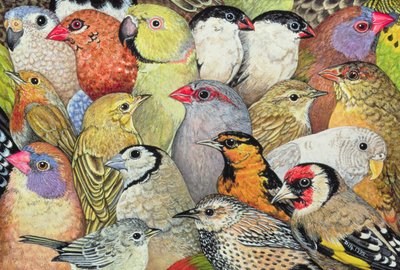 Uccelli Patchwork, 1995 da Ditz