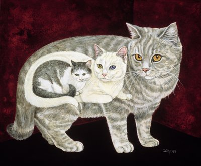 Gatto Russo da Ditz