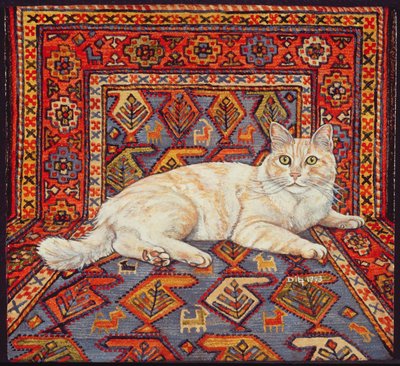Shortcake, 1993 da Ditz