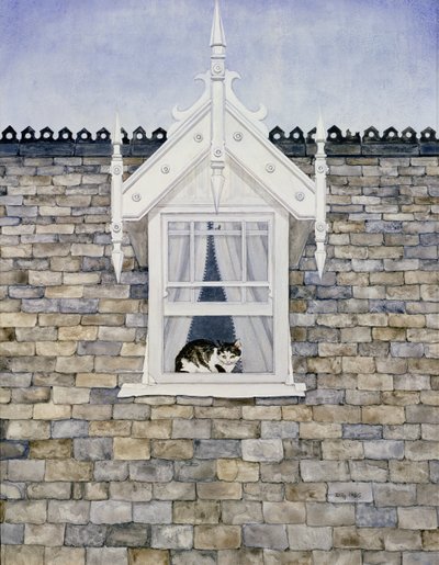 Gatto di St. Helier Dormer da Ditz