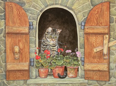 La Finestra di Susie da Ditz