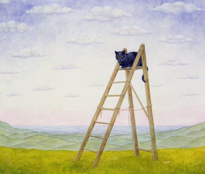 Il gatto sulla scala da Ditz