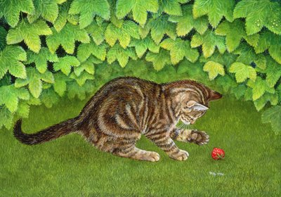 Il Gattino-Fragola, 1996 da Ditz