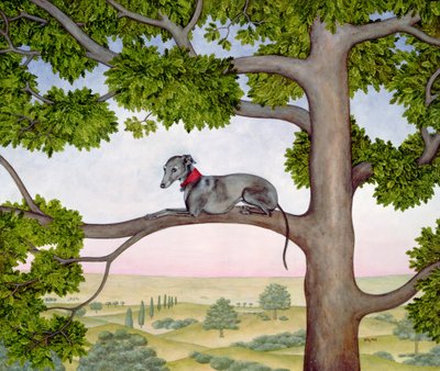 Il levriero dell