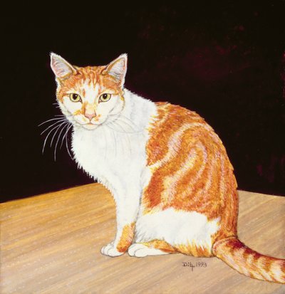 Tommaso da Ditz
