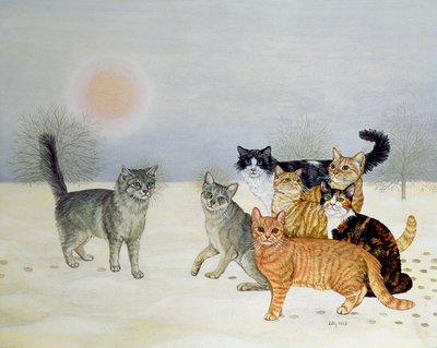 Gatti Invernali da Ditz