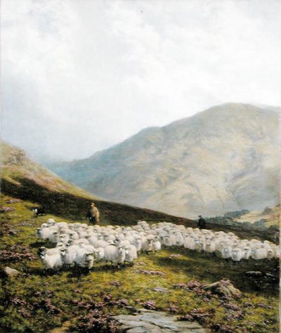 Pastore e pecore, Perthshire da Dixon Clark