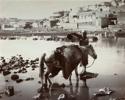 Un luogo di abbeveraggio, 1880s da Dmitri Ivanovich Yermakov