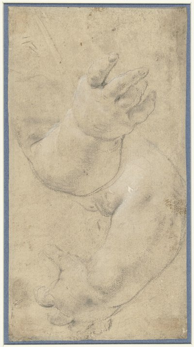 Studio di due braccia di bambino da Domenichino