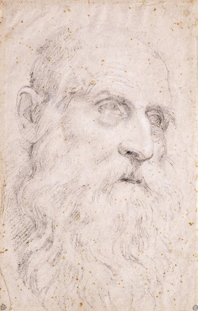 La Testa di San Girolamo da Domenichino