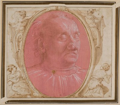Testa di un vecchio da Domenico Ghirlandaio