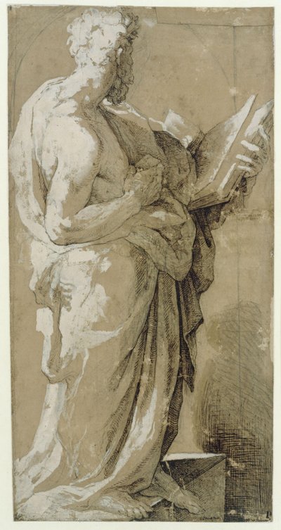  da Domenico Beccafumi