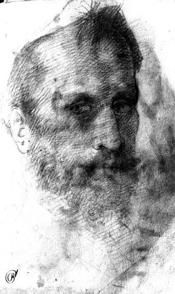 Uomo barbuto da Domenico Beccafumi